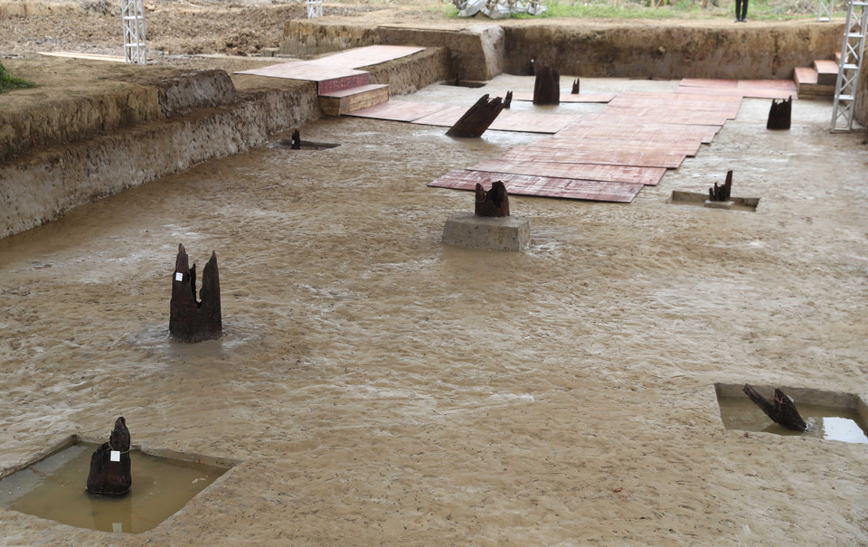 Hiện vật khai quật được lưu giữ tại Khu bảo tồn cọc Cao Quỳ tại xã Liên Khê, huyện Thủy Nguyên, thành phố Hải Phòng.(Ảnh: Thống Nhất/TTXVN)