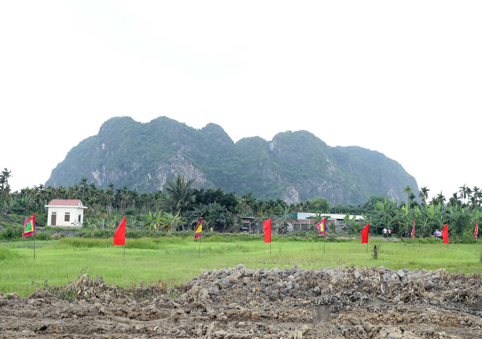 Khu bảo tồn cọc Cao Quỳ tại xã Liên Khê, huyện Thuỷ Nguyên, thành phố Hải Phòng. (Ảnh: Thống Nhất/TTXVN)