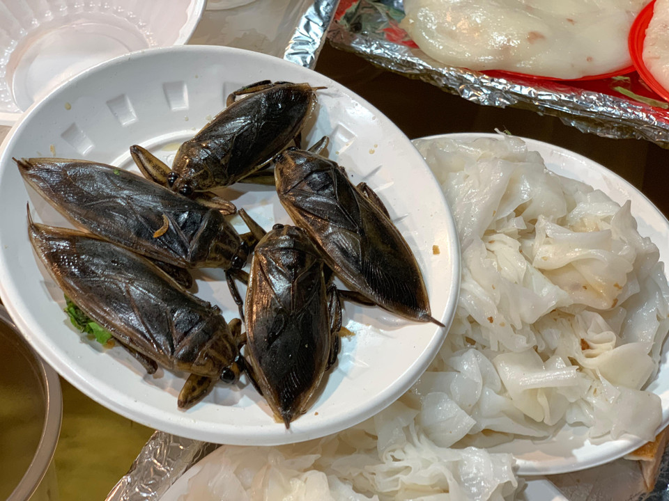 Có lẽ thật lâu rồi người dân Thủ đô mới lại được thấy cà cuống - thứ 'gia vị' làm nên hồn cốt của món bánh cuốn Thanh Trì. (Ảnh: M.Mai/Vietnam+)