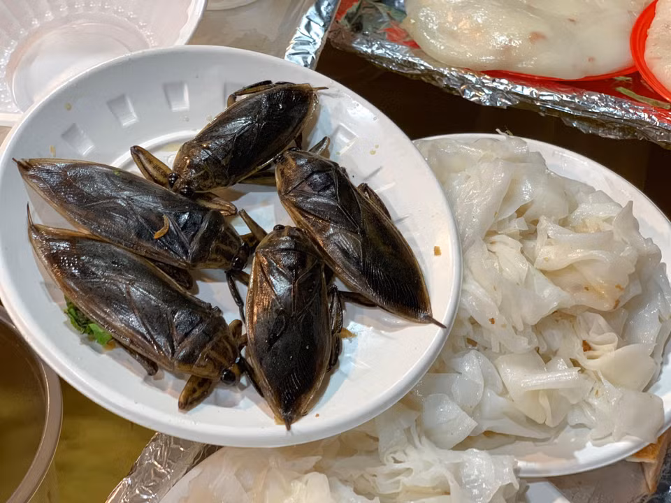 Có lẽ thật lâu rồi người dân Thủ đô mới lại được thấy cà cuống - thứ 'gia vị' làm nên hồn cốt của món bánh cuốn Thanh Trì. (Ảnh: M.Mai/Vietnam+)