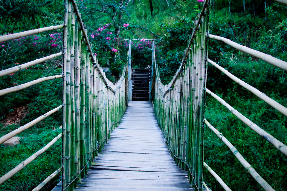 Cây cầu treo đung đưa bắc qua dòng suối chảy uốn lượn rì rào suốt ngày đêm. Điều bất ngờ còn ở phía bên kia... (Ảnh: Xuân Mai/Vietnam+)