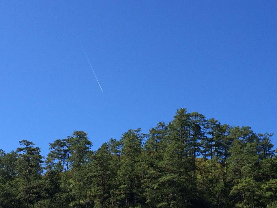 Từ trung tâm thành phố Đà Lạt, đi khoảng hơn 22km để đến được nơi đây. Theo đường Tùng Lâm, theo hướng Thung Lũng Vàng, sau đó đến ngã 3 hướng xuống Suối Vàng, rẽ trái sẽ thấy có biển chỉ dẫn vào Ma Rừng lữ quán. (Ảnh: Xuân Mai/Vietnam+)