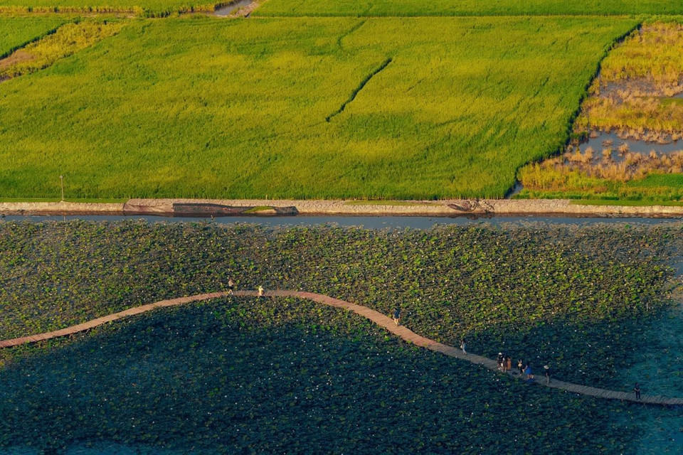 Con đường giống như một dải lụa mềm mại. (Ảnh: CTV/Vietnam+)