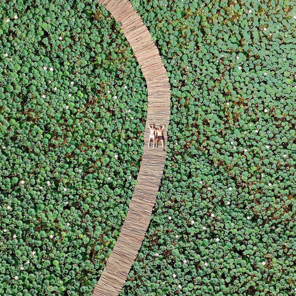 Du khách nước ngoài cũng rất thích thú với con đường gỗ giữa đầm sen này. (Ảnh: CTV/Vietnam+)