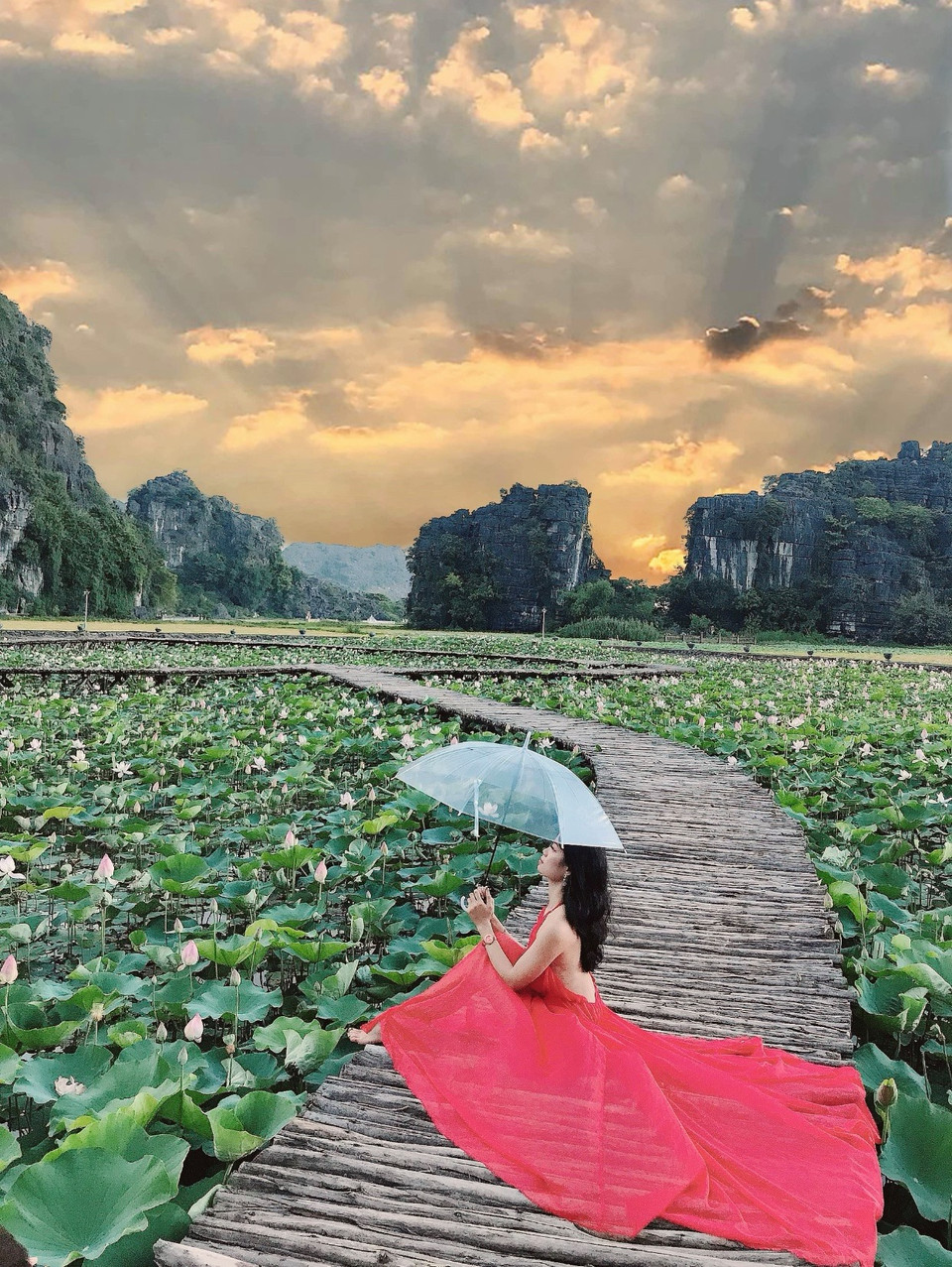 Với hồ sen ở Hang Múa, nơi đây tiếp tục xứng danh ‘đệ nhất sống ảo’ của Ninh Bình và cả miền Bắc. (Ảnh: CTV/Vietnam+)