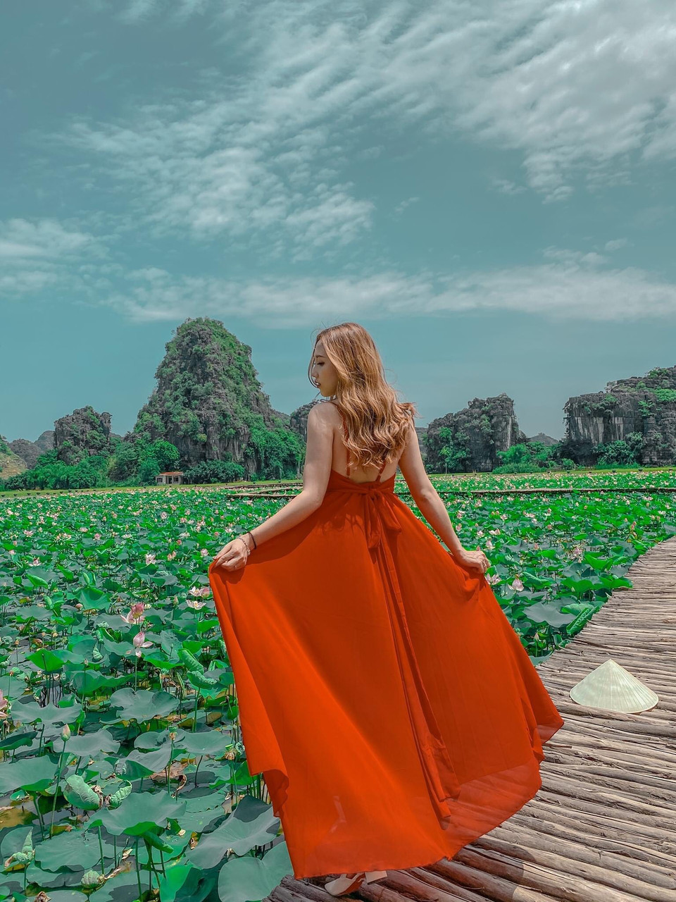 Ít có nơi nào sen nở nhiều và kéo dài như ở đây. Nếu bình thường sen chỉ nở trong vòng 1-2 tháng thì sen nơi này nở tới tận cuối năm. (Ảnh: CTV/Vietnam+)