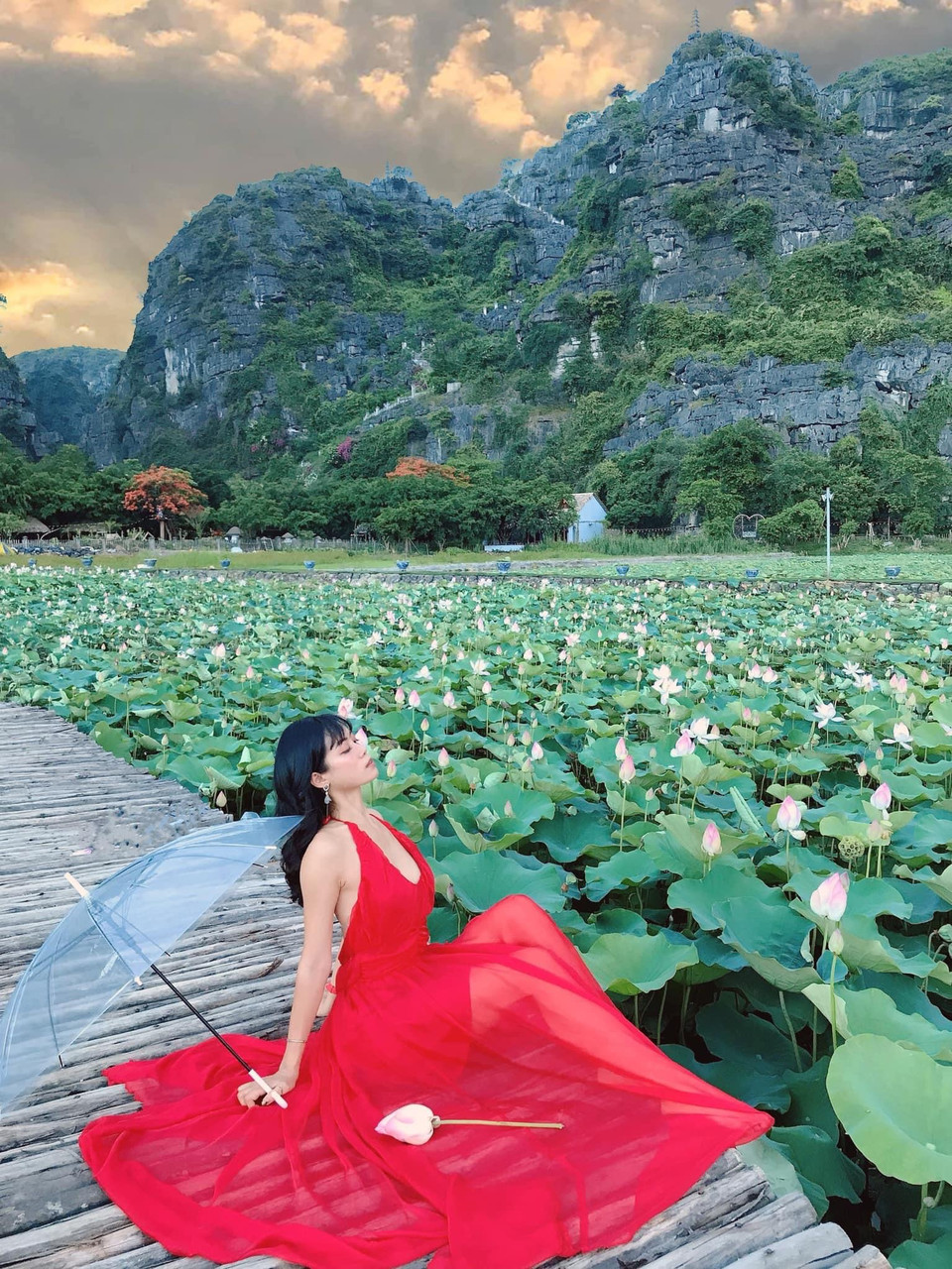 (Ảnh: CTV/Vietnam+)