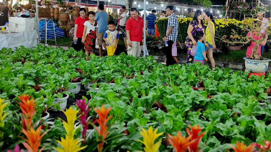 (Ảnh: Thế Anh/Vietnam+)