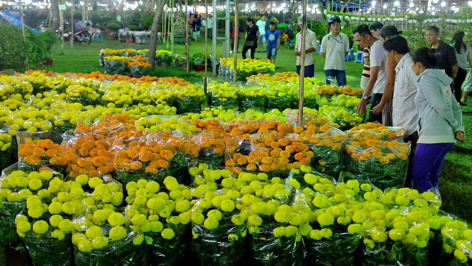 (Ảnh: Thế Anh/Vietnam+)