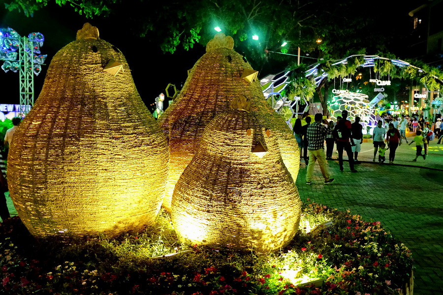 (Ảnh: Thế Anh/Vietnam+)