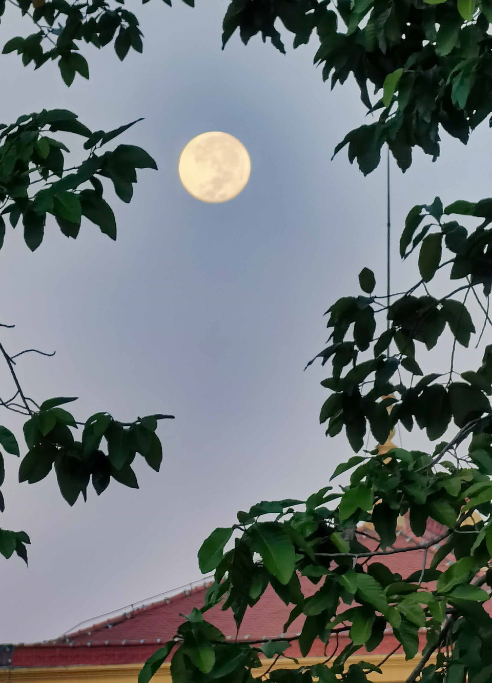 Người dân được ngắm Trăng cùng lúc với đón ánh bình minh trên Quảng trường Ba Đình lịch sử. (Ảnh: Thanh Tùng/TTXVN)