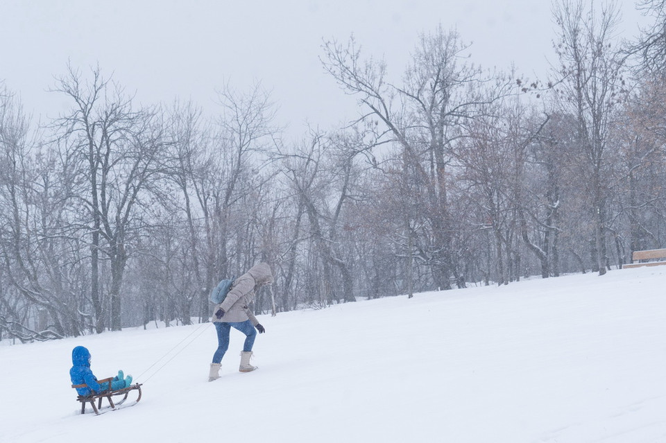 Tuyết rơi dày ở Budapest, Hungary, ngày 8/1/2019. (Ảnh: THX/TTXVN)