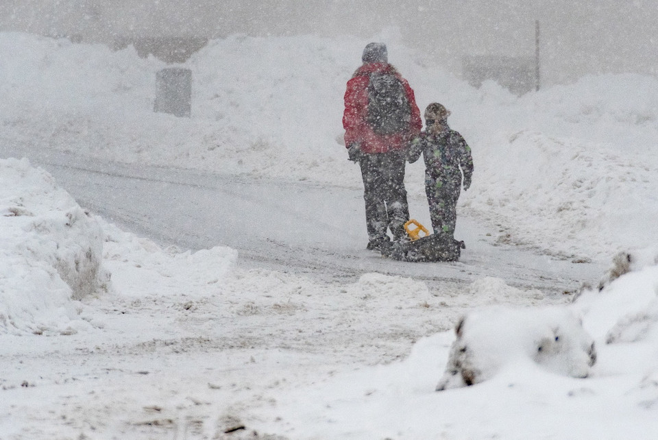 Tuyết phủ trắng xóa ở Sankt Englmar, miền nam Đức, ngày 8/1/2019. (Ảnh: AFP/TTXVN)
