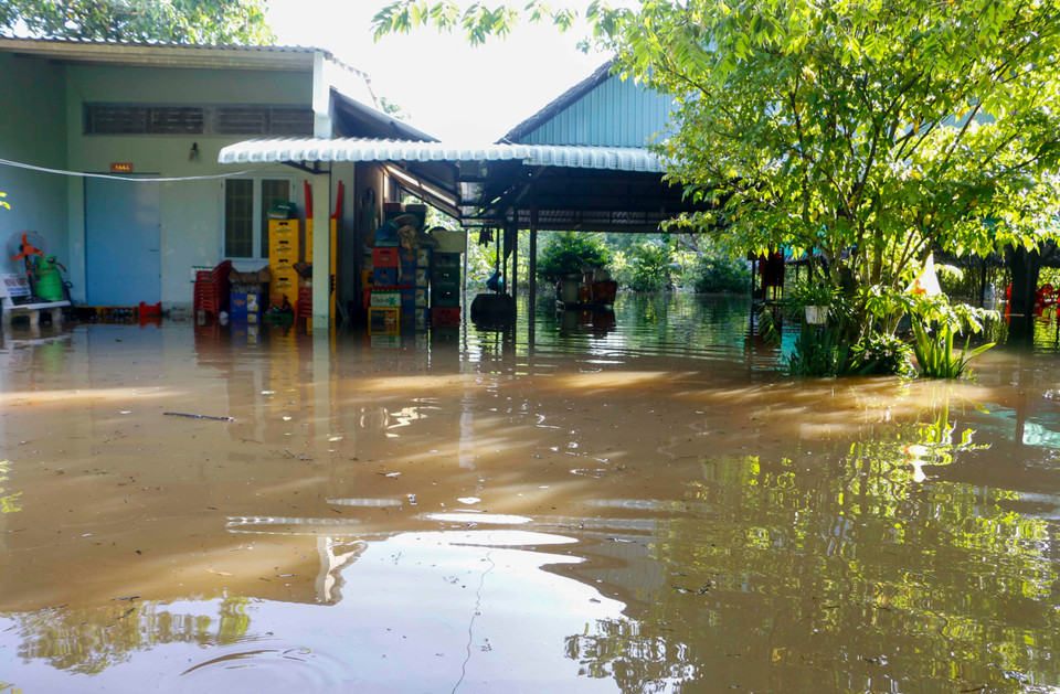 Nước ngập ở khu vực 3 Cồn Khương, phường Cái Khế, quận Ninh Kiều. (Ảnh: Thanh Liêm/TTXVN)
