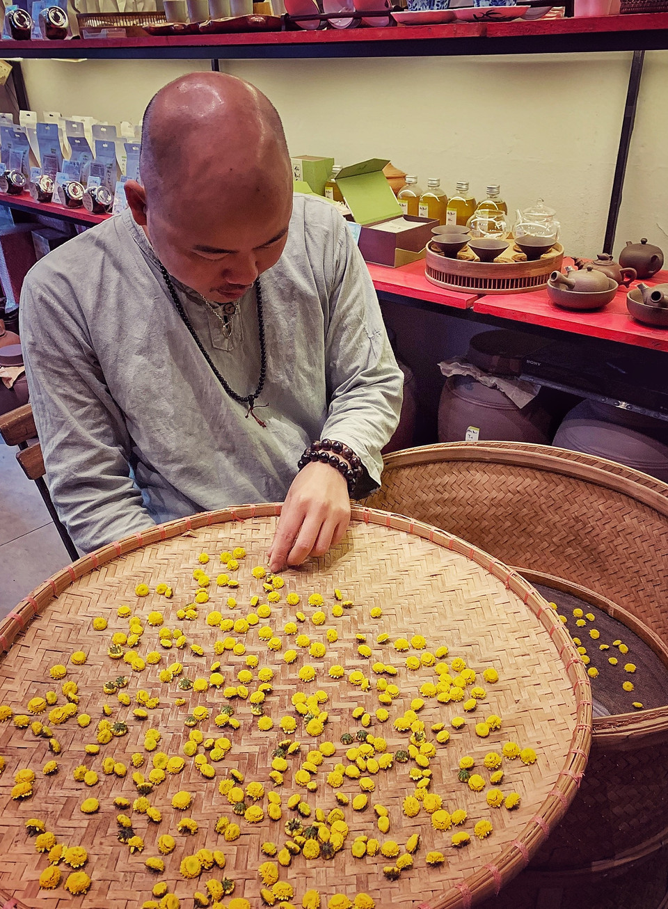 Theo đông y, hoa cúc có thể dùng để ăn sống, phơi khô làm trà, nấu canh, nấu nước uống đều tốt. Nhưng ở Việt Nam thông dụng nhất vẫn là dùng hoa cúc phơi khô rồi hãm với nước, và đặc biệt là ướp với trà để cho ra loại trà hoa cúc thơm ngon, tốt cho sức khỏe. Hoa cúc có rất nhiều loại khác nhau từ cúc vàng, cúc họa mi, cúc tổ ong, cúc đại đóa… Tuy nhiên, hoa cúc chọn làm trà thường là loại hoa cúc trắng hoặc vàng có bông nhỏ, được hái vào mùa thu khi hoa mới nở. (Ảnh: Mai Mai/Vietnam+)