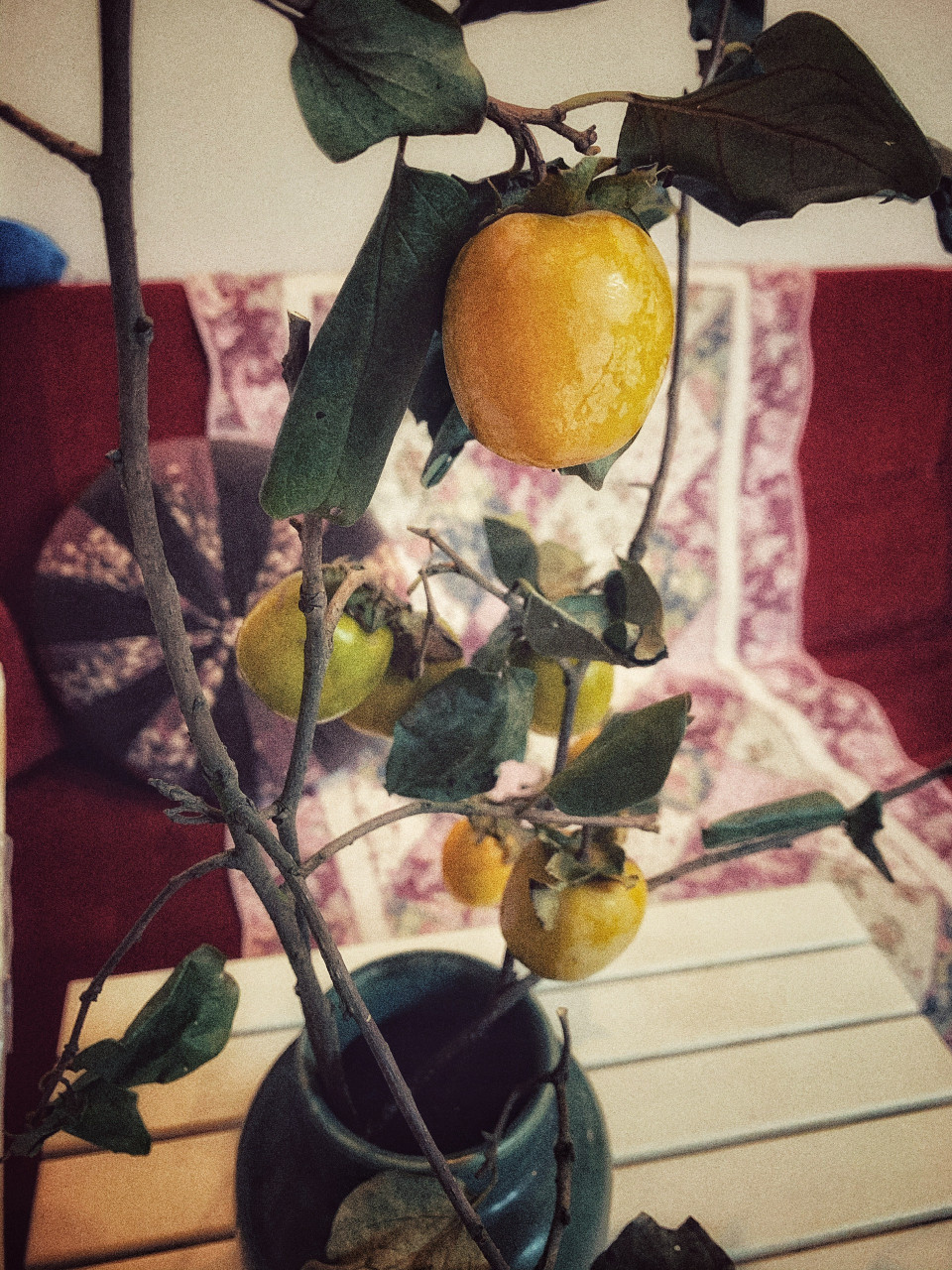 Thưởng trà bánh bên 'bình hoa' đặc biệt chỉ có vào mùa Thu. (Ảnh: Mai Mai/Vietnam+)