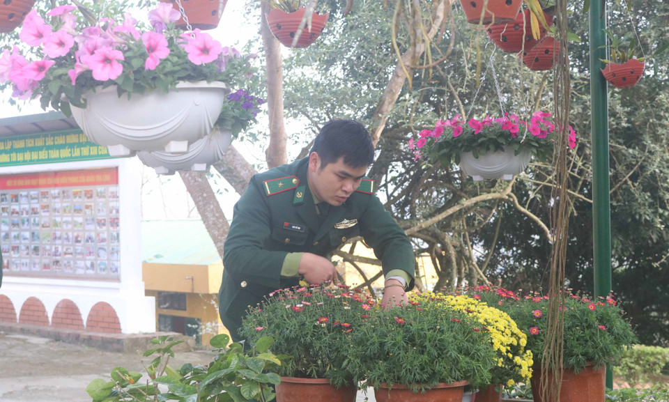 Chiến sỹ Đồn Biên phòng cửa khẩu Trà Lĩnh chăm sóc những chậu hoa chuẩn bị đón Tết Nguyên đán. (Ảnh: Chu Hiệu/TTXVN)