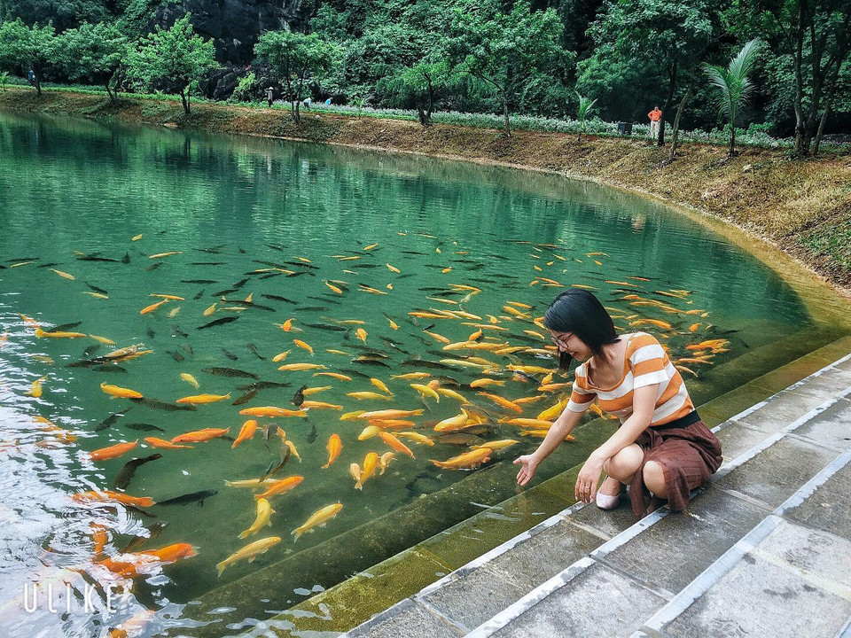Đây là nơi 'check-in' ưa thích của giới trẻ khi đến Ninh Bình. (Ảnh: Xuân Mai/Vietnam+)