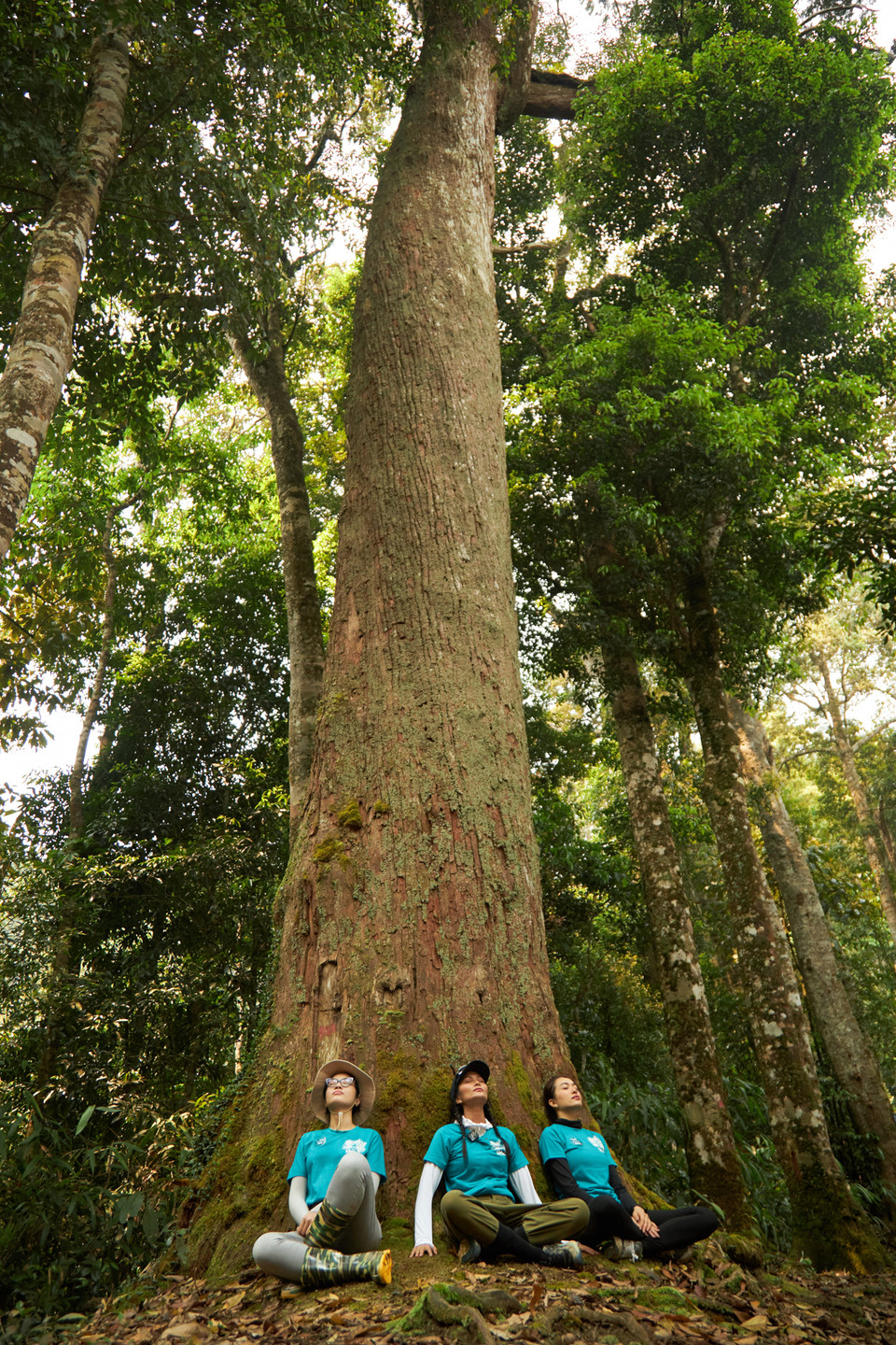 Ngồi thiền dưới gốc cây khổng lồ. (Ảnh: CTV/Vietnam+)
