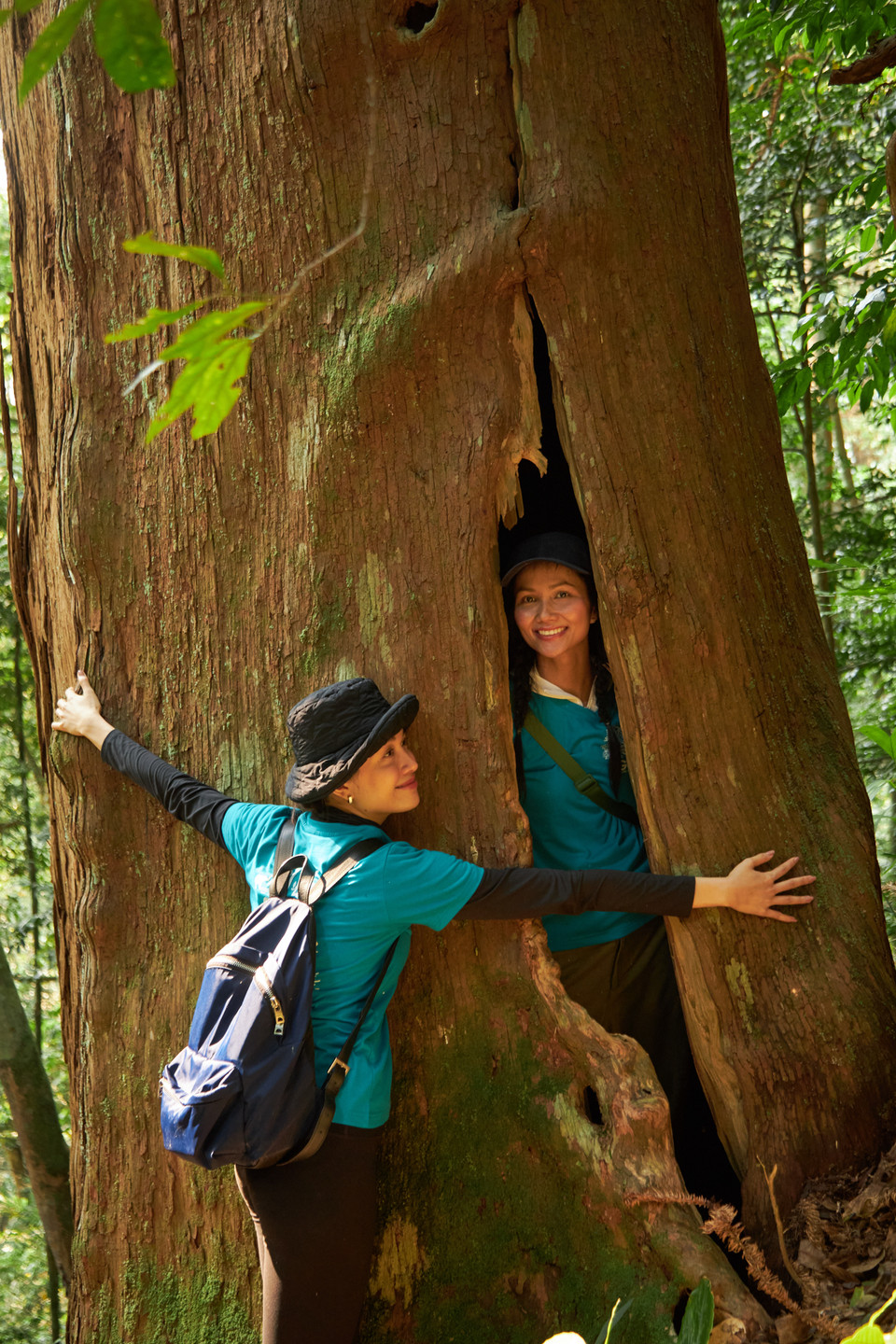 H'Hen Niê đặc biệt thích những cây to lớn và thử cảm giác chui vào bên trong thân cây. (Ảnh: CTV/Vietnam+)