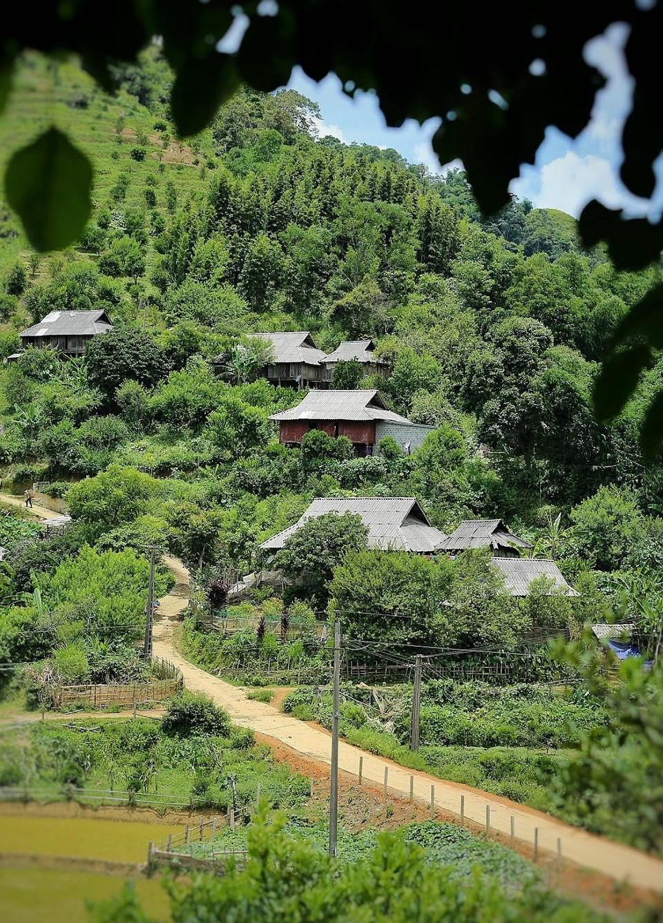 Những con đường quanh co dẫn lối vào bản. Người dân ở đây hầu hết vẫn giữ được nếp nhà truyền thống. (Ảnh: Mai Mai/Vietnam+)