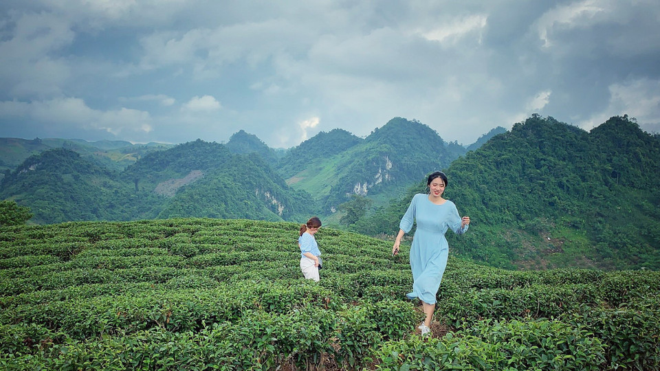 Hãy leo lên những đỉnh đồi chè để thấy mình nhỏ bé thế nào giữa thiên nhiên xanh ngắt của núi rừng Tây Bắc. (Ảnh: Mai Mai/Vietnam+)