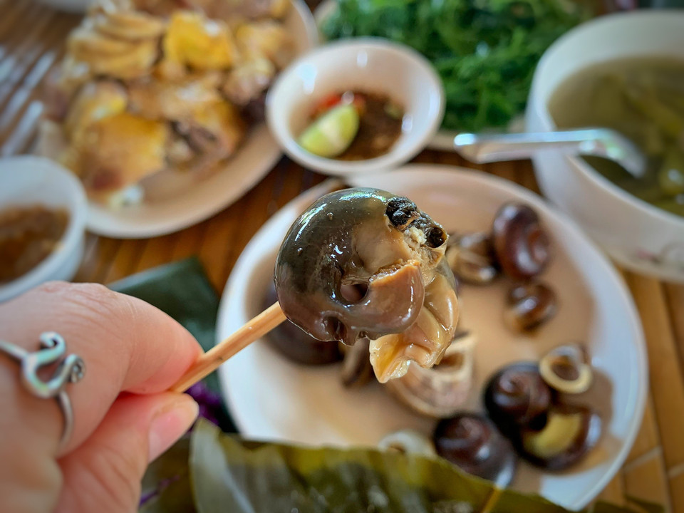 Người dân địa phương cho biết loài ốc này rất hiếm vì chúng chỉ sống trong các hang đá, và phải đến mùa mưa, ốc mới bò ra ngoài tìm kiếm thức ăn và sinh sản. Ốc núi đá thường tập trung nhiều nhất ở các cánh rừng rậm, nhiều cây cối, ẩm thấp. Ốc giòn, ngọt và có vị bùi bùi của thảo mộc. (Ảnh: Mai Mai/Vietnam+)