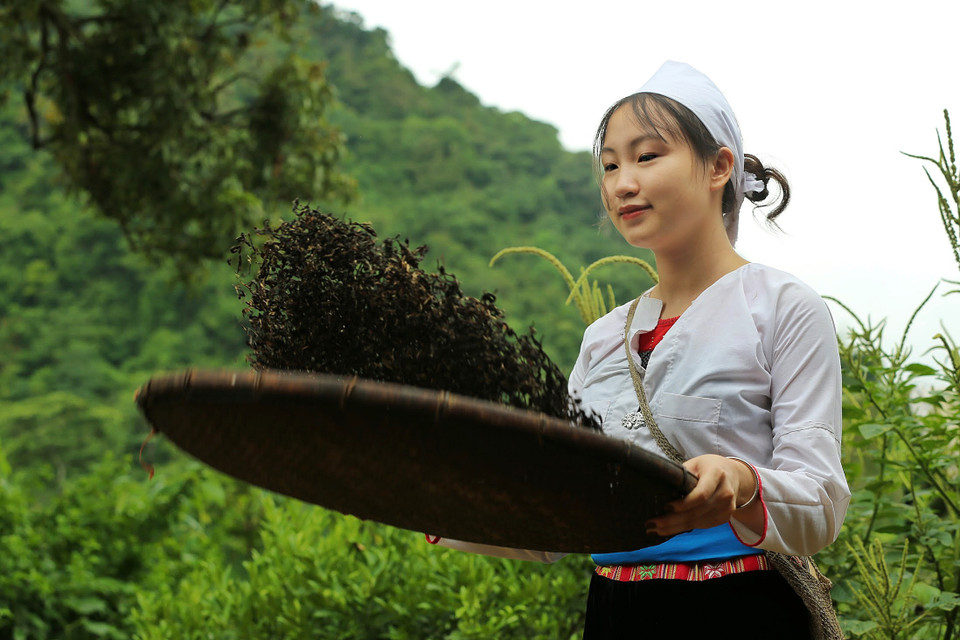 Trang phục truyền thống hàng ngày của các cô gái Mường là áo pắn (áo ngắn) - loại áo cánh ngắn, xẻ ngực, ống tay dài, áo màu nâu hoặc trắng, bên trong mặc áo yếm; đầu thường đội khăn trắng, xanh với phong cách không cầu kỳ như một số tộc người khác. Váy là loại váy kín màu đen. Nét đặc sắc trên trang phục của người Mường chính là những mảng hoa văn nổi lên giữa trang phục và cạp váy, thắt lưng. (Ảnh: Mai Mai/Vietnam+)