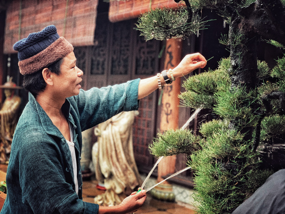 Mỗi cây mỗi thế dáng vô cùng độc đáo cho thấy cách chơi của một người có nghề và hỏi ra mới hay đó đều là tác phẩm của anh, mỗi cây là dấu ấn gắn bó với một phần trong cuộc đời cũng lắm thăng trầm của Trần Tước. (Ảnh: Xuân Mai/Vietnam+)