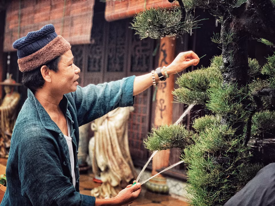 Mỗi cây mỗi thế dáng vô cùng độc đáo cho thấy cách chơi của một người có nghề và hỏi ra mới hay đó đều là tác phẩm của anh, mỗi cây là dấu ấn gắn bó với một phần trong cuộc đời cũng lắm thăng trầm của Trần Tước. (Ảnh: Xuân Mai/Vietnam+)