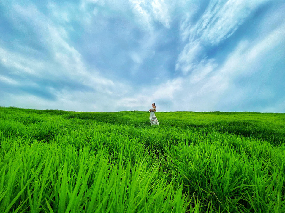 Đồng cỏ 69 bỗng trở nên tuyệt đẹp dưới con mắt của giới trẻ. (Ảnh: Xuân Mai/Vietnam+)