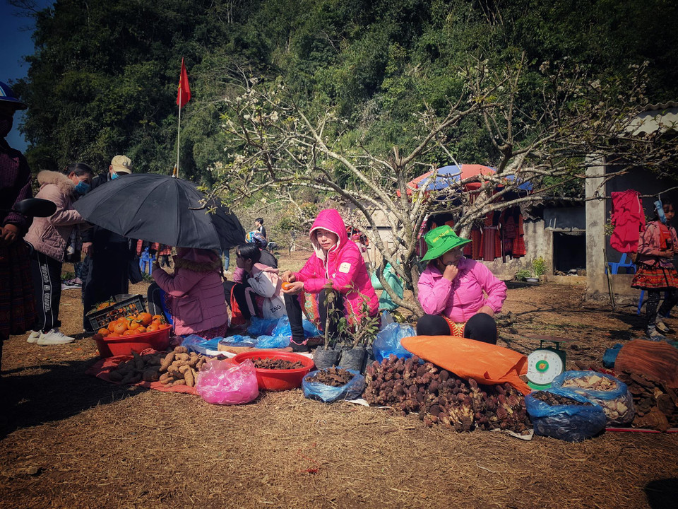 ... thì nông sản có mặt ở bất cứ nơi nào du khách đặt chân đến. (Ảnh: Xuân Mai/Vietnam+)