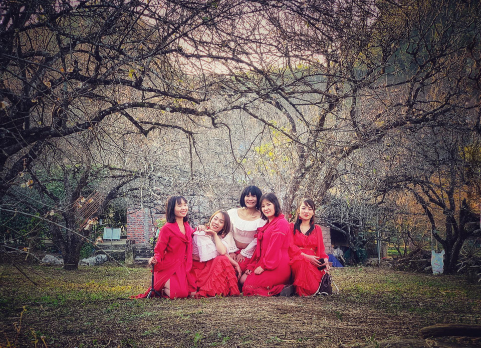 Không chỉ vượt quãng đường xa xôi gần 400km mà các bạn trẻ còn rất cầu kỳ đầu tư trang phục vào rừng mơ 'sống ảo.' (Ảnh: Xuân Mai/Vietnam+)