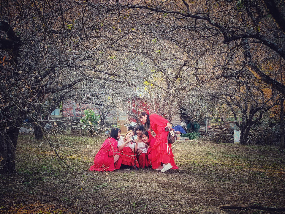 Nhóm các bạn trẻ này cho biết đã thuê xe tự lái từ Quảng Ninh để 'săn' hoa Mộc Châu. (Ảnh: Xuân Mai/Vietnam+)