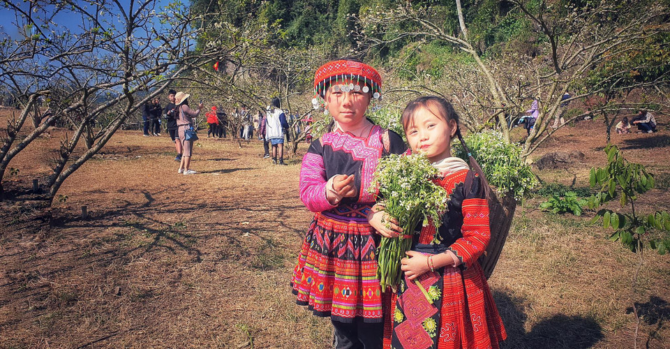 Những em bé Mông ở rừng mận Nà Ka gùi hoa cải đến bán cho du khách hoặc đơn giản chỉ là được chụp ảnh cùng thôi là chúng đã vui rồi. (Ảnh: Xuân Mai/Vietnam+)