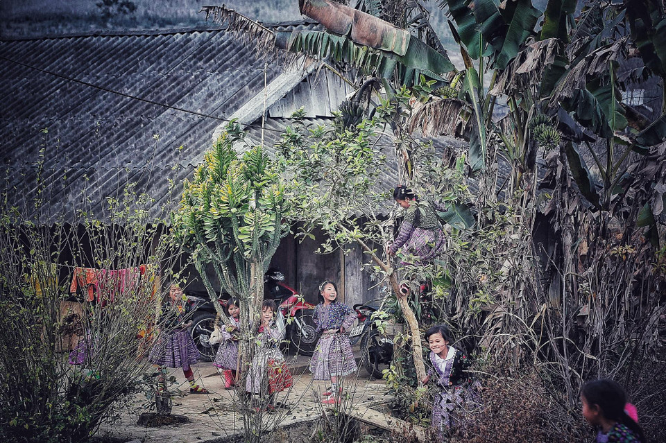 Những đứa trẻ người Mông ở bản Phiêng Cành, xã Tân Lập, huyện Mộc Châu náo nức mỗi độ Tết đến Xuân về. (Ảnh: Xuân Mai/Vietnam+)