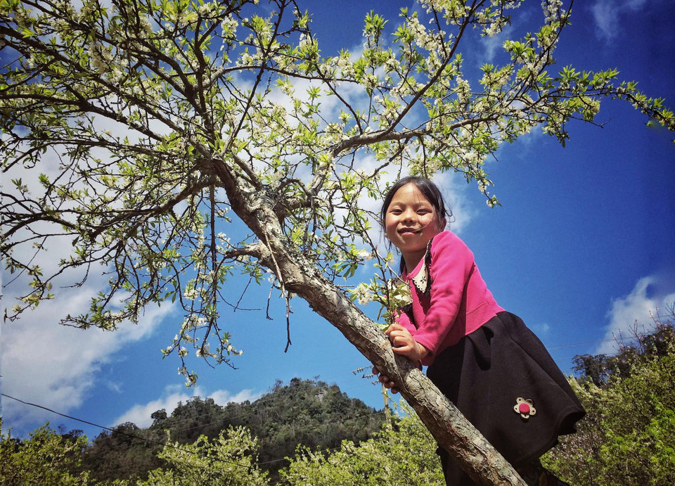 Những đứa trẻ cứ hồn nhiên nô đùa dưới bóng hoa. (Ảnh: Xuân Mai/Vietnam+)