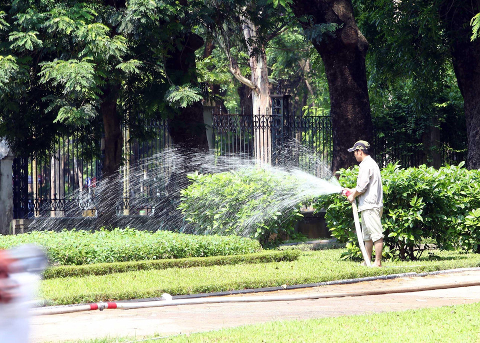 Công nhân môi trường chăm sóc cây xanh. (Ảnh: Danh Lam/TTXVN)