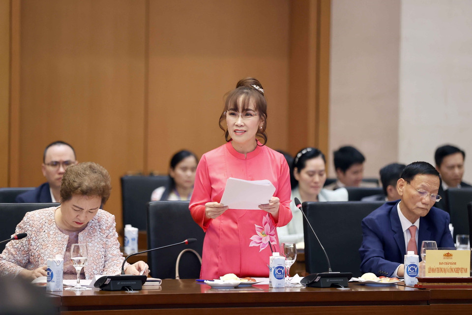 Bà Nguyễn Thị Phương Thảo, Chủ tịch Hội đồng Quản trị Công ty Cổ phần Hàng không Vietjet phát biểu tại buổi gặp mặt. (Ảnh: Doãn Tấn/TTXVN)