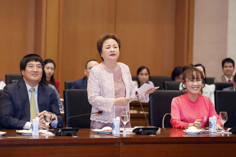 Bà Nguyễn Thị Nga, Chủ tịch Tập đoàn BRG phát biểu tại buổi gặp mặt. (Ảnh: Doãn Tấn/TTXVN)