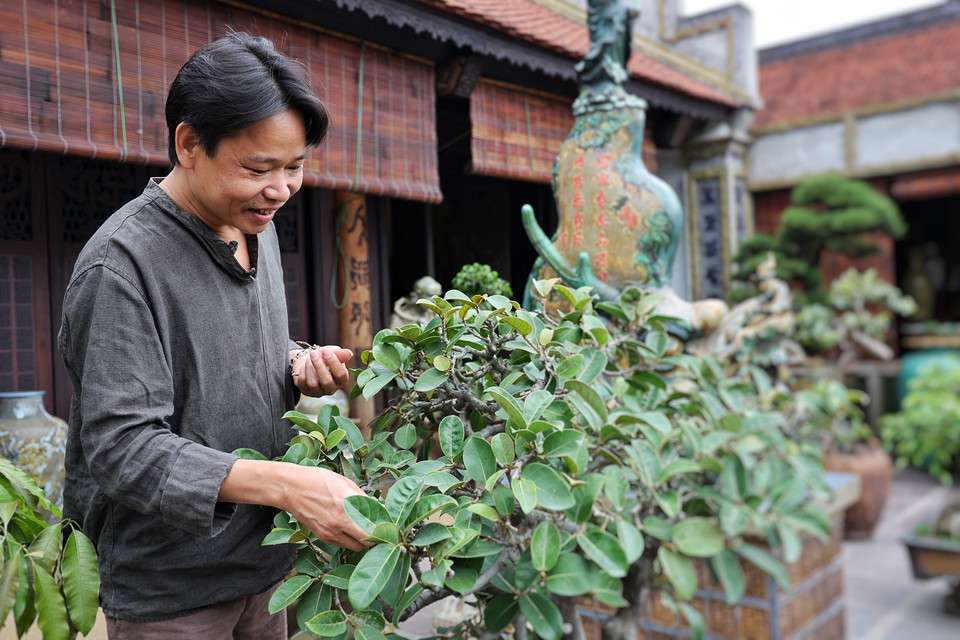 Nghệ nhân Trần Tước cho biết ngoài gốm và đồ gỗ, anh còn đam mê cây cảnh. Vườn tiểu cảnh này đều do một tay anh chăm sóc và tạo tác đã hàng chục năm. (Ảnh: Xuân Mai/Vietnam+)