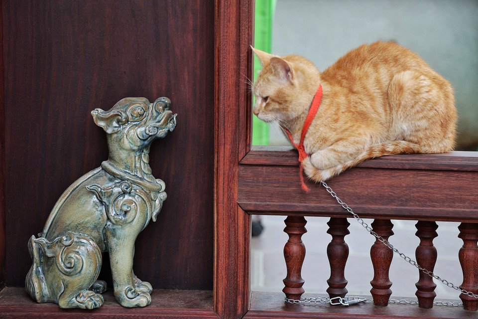 Khi đời sống hiện tại và nghệ thuật hài hòa trong một khuôn hình. (Ảnh: Xuân Mai/Vietnam+)