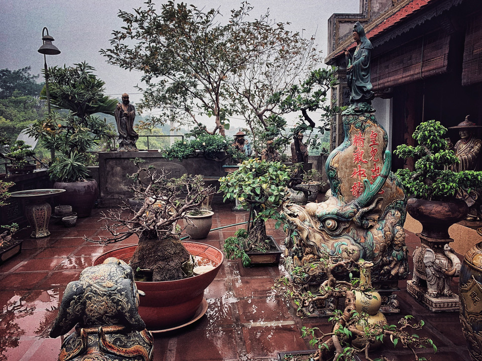 Không gian sân trước hiên nhà là khu tiểu cảnh được đích thân gia chủ tạo tác. (Ảnh: Xuân Mai/Vietnam+)