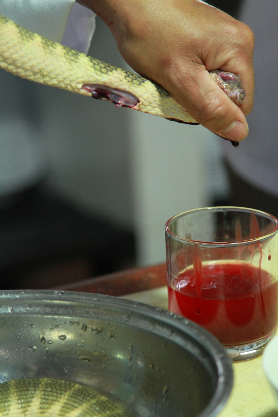 Pha tiết vào rượu trắng. Rượu tiết đẻn rất thơm, được cho là có thể chữa bệnh đau nhức xương. (Ảnh: Xuân Mai/Vietnam+)