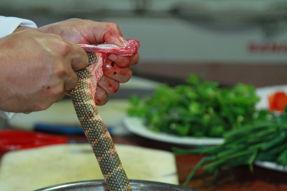 Để làm món ram đẻn, trước tiên, đẻn sẽ được làm sạch, lấy hết ruột, lọc da và huyết đen trên sống lưng. (Ảnh: Xuân Mai/Vietnam+)