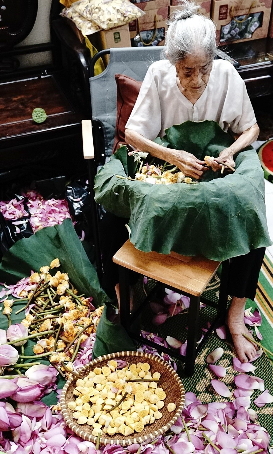 Gần tám thập kỷ trôi qua, gia đình cụ Dần vẫn ướp trà sen theo phương pháp cổ xưa, sản xuất trà sen hoàn toàn thủ công, không hề có sự hỗ trợ của máy móc, không thêm bất kỳ một loại hương liệu nào khác ngoài mùi hương tự nhiên của sen. (Ảnh: Khánh Hòa/TTXVN)