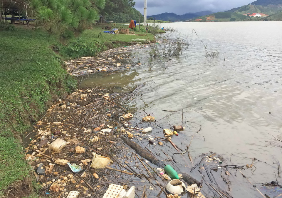 (Ảnh: Nguyễn Dũng/TTXVN)