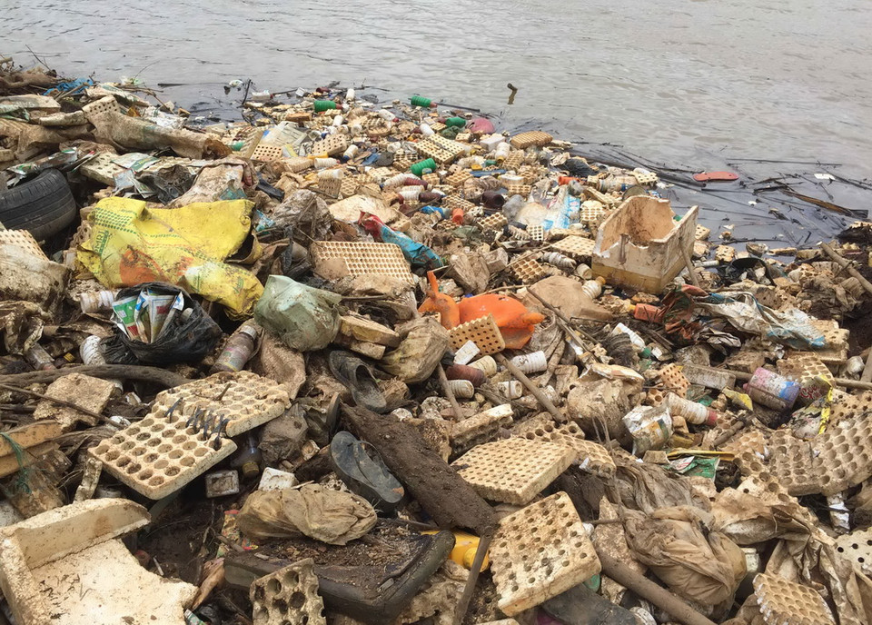 (Ảnh: Nguyễn Dũng/TTXVN)