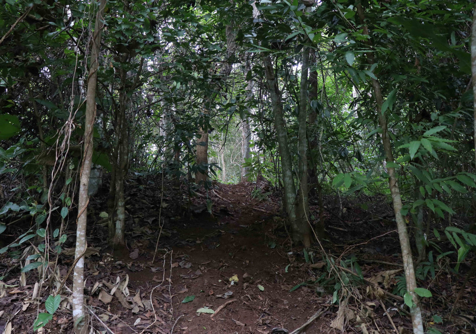 Lối mòn lên dốc cao, bề mặt trơn trượt dẫn sâu vào hiện trường rừng bị phá ở bản Mường Pồn 2 (xã Mường Pồn, huyện Điện Biên, tỉnh Điện Biên). (Ảnh: Xuân Tiến/TTXVN)