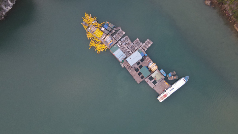 Vịnh Hạ Long (Quảng Ninh) được đánh giá là 1 trong 25 điểm chèo thuyền kayak tốt nhất thế giới. Trong đó, quanh khu vực Hang Dơi, hay bãi Vạn Bội, Vạn Hà… đặc biệt hấp dẫn nhờ những dải san hô nhiều màu sắc và sống động. Nhưng nếu cung đường này đã trở nên quá quen thuộc với các 'kayaker' thì liền ngay đó một dải, vịnh Lan Hạ (Hải Phòng) được ví như vịnh Hạ Long thứ 2 của miền Bắc. (Ảnh: Nam Nguyễn/Vietnam+)